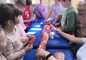 Wycieczka do Wielkopolskiego Samorządowego Centrum Kształcenia Zawodowego i Ustawicznego "Medyk" w Koninie- gr. XI i XII