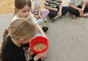 „Skąd się biorą produkty ekologiczne?” – ogólnopolski program edukacyjny dla przedszkoli w grupie IV