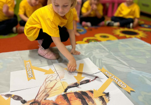Dzień Pszczoły w grupie VII