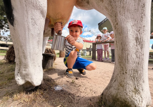 Przygoda na Dzikim Zachodzie - Westerland gr. XI