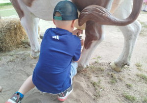 Przygoda na Dziki Zachodzie – Westernland gr. XII