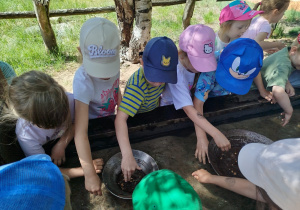 Przygoda na Dziki Zachodzie – Westernland gr. XII