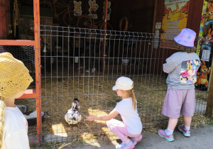 Przygoda na Dziki Zachodzie – Westernland gr. XII