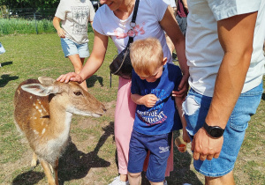 „MAMO, TATO…Kocham Cię…” – Dzień Rodziny w gr. XII