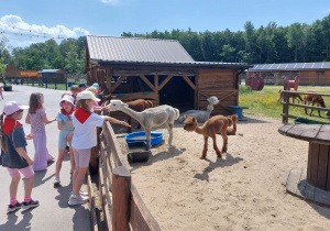 Wycieczka do Dobronianki – grupa V