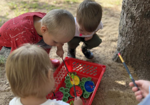 Dzień Kropki w grupie II