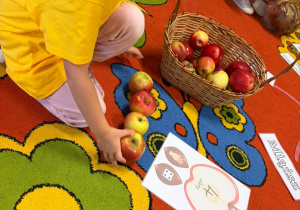 Dzień Jabłka w Grupie V