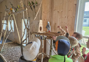 Jesienna gra terenowa na Dzień Chłopaka w grupie IX