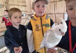 Jesienna gra terenowa na Dzień Chłopaka w grupie IX