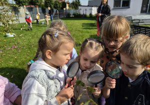 Jesienna gra terenowa na Dzień Chłopaka w grupie IX