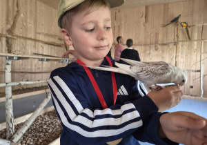 Jesienna gra terenowa na Dzień Chłopaka w grupie IX