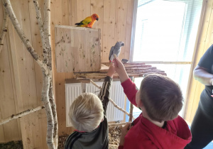Jesienna gra terenowa na Dzień Chłopaka w grupie IX