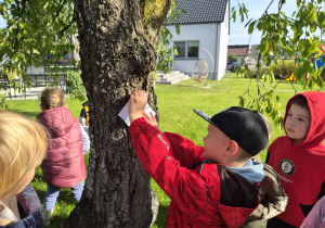 Jesienna gra terenowa na Dzień Chłopaka w grupie IX