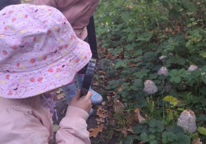 „Leśna Przygoda z okazji Dnia Chłopaka” - Wyjazd grupy VIII do Nadleśnictwa w Grodźcu