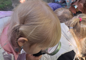 „Leśna Przygoda z okazji Dnia Chłopaka” - Wyjazd grupy VIII do Nadleśnictwa w Grodźcu