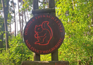 „Leśna Przygoda z okazji Dnia Chłopaka” - Wyjazd grupy VIII do Nadleśnictwa w Grodźcu