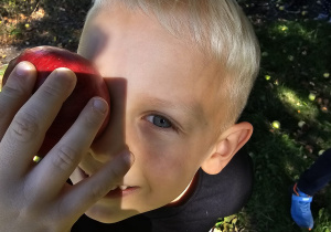 "Jesienią, jesienią jabłuszka się rumienią"- grupa IV