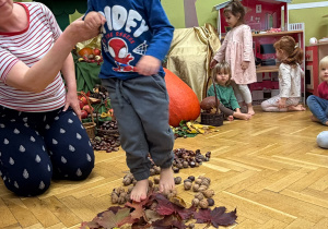 Projekt edukacyjny „Jesień i Maluszki” – grupa I