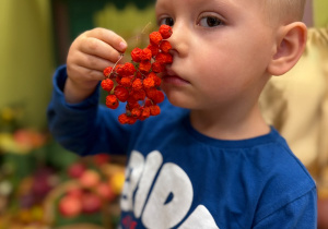 Projekt edukacyjny „Jesień i Maluszki” – grupa I
