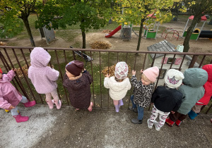 Projekt edukacyjny „Jesień i Maluszki” – grupa I