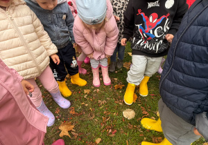 Projekt edukacyjny „Jesień i Maluszki” – grupa I