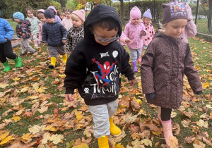 Projekt edukacyjny „Jesień i Maluszki” – grupa I