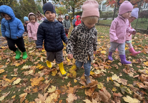 Projekt edukacyjny „Jesień i Maluszki” – grupa I