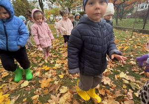 Projekt edukacyjny „Jesień i Maluszki” – grupa I