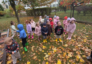Projekt edukacyjny „Jesień i Maluszki” – grupa I