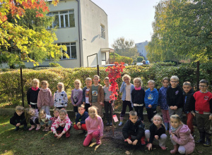 Misja: Drzewo