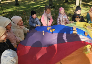 „Jesienna przygoda w Parku im. F. Chopina” - grupa IV, V, VI