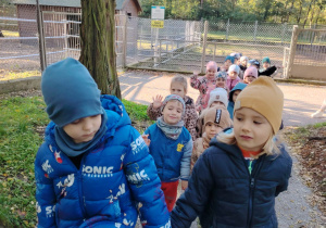 „Jesienna przygoda w Parku im. F. Chopina” - grupa IV, V, VI