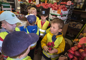 Z JESIENIĄ ZA PAN BRAT – projekt edukacyjny w grupie IX