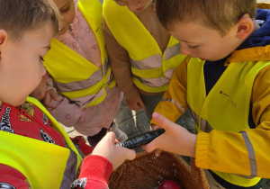 Z JESIENIĄ ZA PAN BRAT – projekt edukacyjny w grupie IX