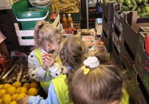 Z JESIENIĄ ZA PAN BRAT – projekt edukacyjny w grupie IX