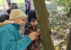 Z JESIENIĄ ZA PAN BRAT – projekt edukacyjny w grupie IX