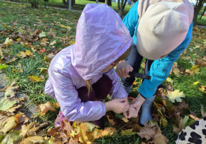 Z JESIENIĄ ZA PAN BRAT – projekt edukacyjny w grupie IX