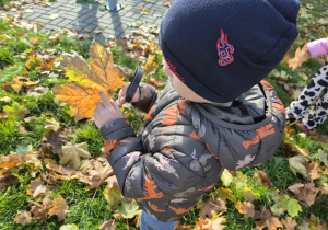 Z JESIENIĄ ZA PAN BRAT – projekt edukacyjny w grupie IX