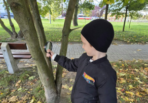 Z JESIENIĄ ZA PAN BRAT – projekt edukacyjny w grupie IX