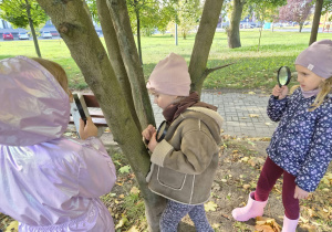 Z JESIENIĄ ZA PAN BRAT – projekt edukacyjny w grupie IX
