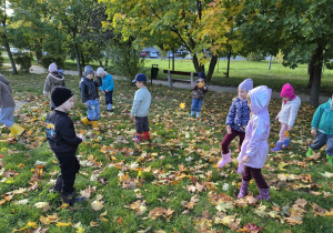 Z JESIENIĄ ZA PAN BRAT – projekt edukacyjny w grupie IX