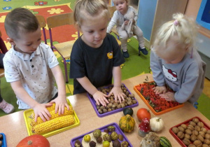 "Jesień zmysłami maluszków"– innowacja pedagogiczna w grupie III