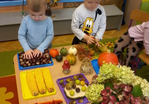 "Jesień zmysłami maluszków"– innowacja pedagogiczna w grupie III