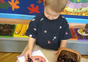 "Jesień zmysłami maluszków"– innowacja pedagogiczna w grupie III