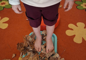 "Jesień zmysłami maluszków"– innowacja pedagogiczna w grupie III