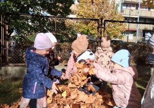 "Jesień zmysłami maluszków"– innowacja pedagogiczna w grupie III