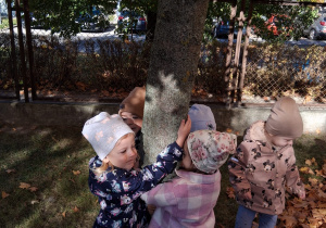 "Jesień zmysłami maluszków"– innowacja pedagogiczna w grupie III
