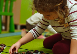 „Z Panią Jesień odkrywamy skarby jesieni”- projekt edukacyjny w grupie II