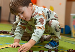 „Z Panią Jesień odkrywamy skarby jesieni”- projekt edukacyjny w grupie II