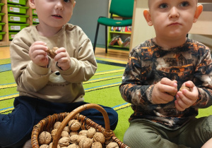 „Z Panią Jesień odkrywamy skarby jesieni”- projekt edukacyjny w grupie II